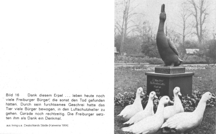 Bild 16: Freiburg im Breisgau, das
                        Erpeldenkmal