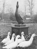 Freiburg im Breisgau, Erpeldenkmal: Ein
                            Erpel soll vor dem Grossangriff vom 16.
                            November 1944 gewarnt haben