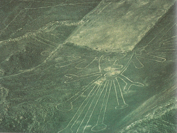 Region Palpa,
              gekpfter Berg mit einer Piste auf einer Blume 02,
              Nahaufnahme