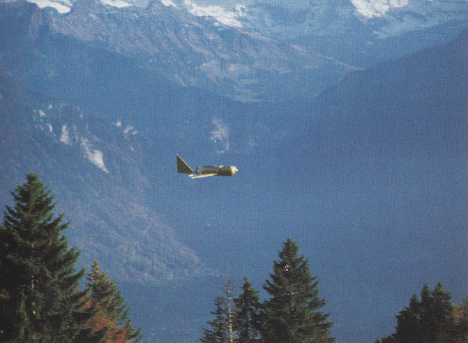 Flugzeug der
              Vorzeit, das Modell fliegt