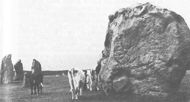 Crculo de piedras en
                      Avebury 03