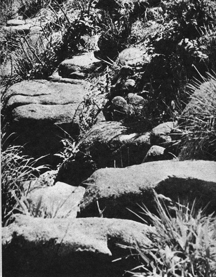 Pisadas gigantes en la piedra
                                    de Gvea