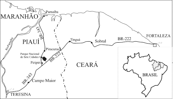 Mapa con la posicin del Parque
                            Nacional de Siete Ciudades en Brasil en la
                            provincia de Piaui