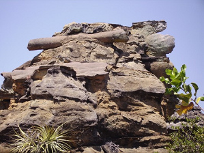 Formacin de la
                                        piedra de can