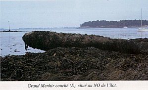 Menhir en la playa
                          de Er Lannic en el golfo de Morbihan (02)