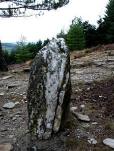 Un menhir en cuarzo
                        en la regin de Florac (en Francia del sur en
                        las montaas Cevennes)