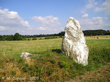 Menhir en cuarzo en la regin de
                          Monterrein (Francia) al lado de la ruta a
                          Morhannais