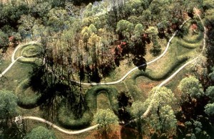 Serpiente del Bush
                                        creek (arroyo Bush) en el estado
                                        federal de Ohio,
                                        "EUA"