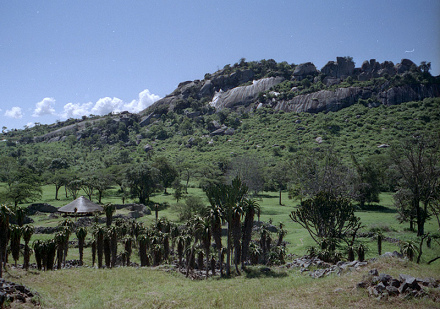 La vista a la ruina en la
                            acrópolis