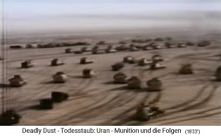 Panzergefechte sdlich von Basra 1991 01