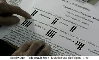 Study on the Gulf War
                                veteran Kenny Duncan: Radiation destroys
                                chromosomes