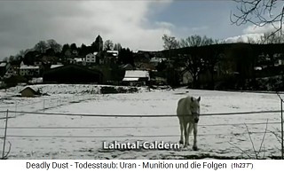 Lahntal-Caldern bei Marburg
                              (Hessen)