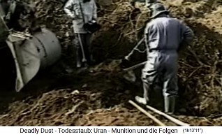 Die Serbische Armee entseucht
                            die durch NATO-Atomraketen
                            ("Uranmunition") verseuchten
                            Gebiete