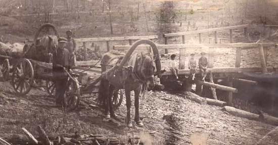 Feldarbeit
                  in Birobidschan im Jahre 1931