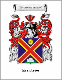 Eisenhower emblem