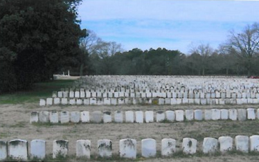 rave stones in Andersonville as a
                                memorial site 02