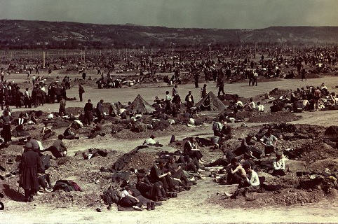 Rhine meadow camps with tents