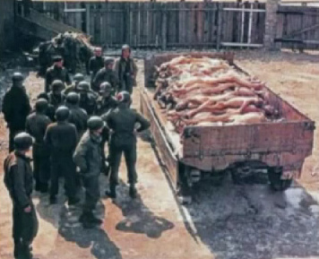 Rhine meadow
                camp with German bodies piled on a trailer with
                "American" soldiers next to it