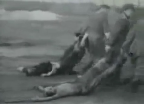 Bodies are torn on the floor by SS men
                          01, the clothes are NO uniforms of German
                          concentration camps, there are NO tattooed
                          numbers, and there are NO remnants of earth on
                          the bodies