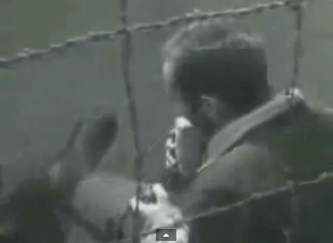 Eso NO es
                    un judo pero es un soldado alemn con el uniforme
                    gris de la Wehrmacht. Aqu est comiendo un pan
                    detrs de un cerco de alambre espinoso
                    (2min.23seg.)