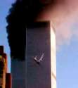 Foto 1: Un
                                  avin toca a una torre del WTC. Pero
                                  eso son dibujos animados falsos.