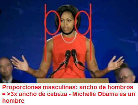 Michael
                        Obama ("Michelle Obama) tiene hombros
                        masculinos 3 veces largo como la cabeza, an
                        ms!