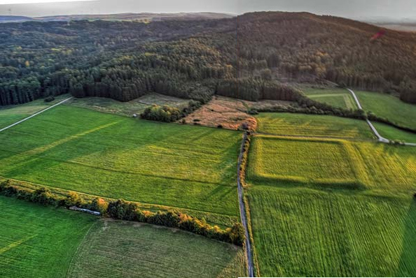 Keltenschanze
                in Laibstadt bei Nrnberg (Bayern)