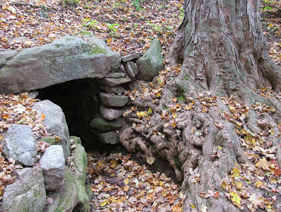 Root cellar /
              Erdkeller in Upton in Massachusetts