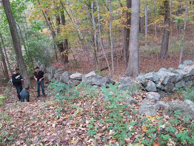 Sicht von oben vom Erdkeller
                von Upton mit einer Steinmauer mitten im Wald