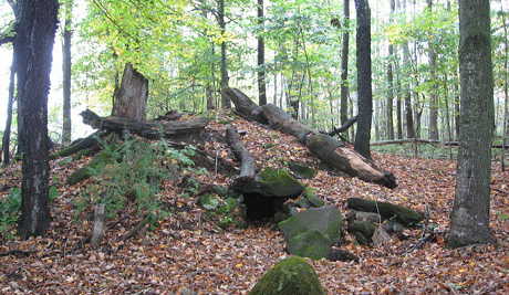 South Royalton, Roof cellar /
                Erdkeller