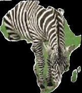 Karte von
                  Afrika mit Zebra