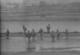 Rckzug vom Strand von Massawa