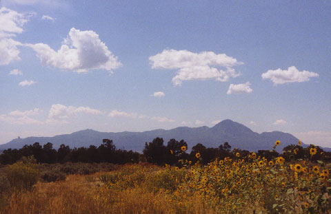 Berg
                      Sleeping Ute Mountain, Sicht von fern