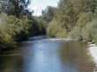 Der
                      Duwamish-Fluss , Duwamish River im Mittellauf,
                      heisst dort "Grner Fluss", "Green
                      River"