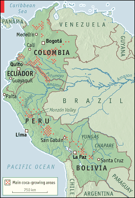 Karte der
                    Koka-Hauptanbaugebiete in Süd-"Amerika"
                    2006