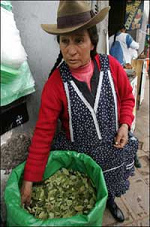 Bäuerin verkauft
                      Kokablätter in Cusco