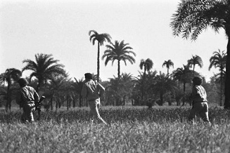 Pakistanische Truppen in
                          Bangladesch auf der Flucht, Dezember 1971