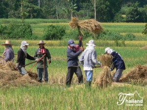 Nord-Thailand,
              Schwestern in einem Dorf der Akha