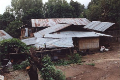 Dorf der Meo (Hmong)
                        in Thailand