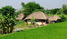 Village of
                        West Bengal