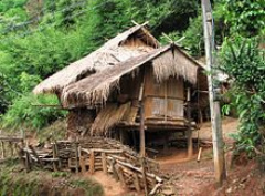 Thailand,
                                    Akha bamboo house