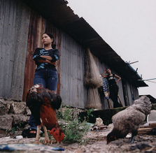 Youth girls
                                  and young women on Kho Kong Island in
                                  the brothel "chicken farm"
                                  with their iron shacks waiting for
                                  customers