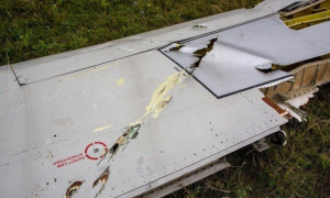 Part of a wing of MH17 with shooting
                          track