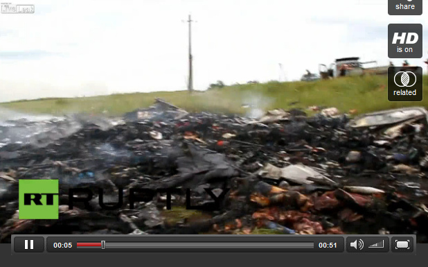 Crash site of MH17 with charred dead
                        bodies