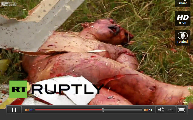 Crash site of MH17 with big debris and a
                        dead body aside, zoom - here was no fire, the
                        dead body is charred a little bit and the big
                        wounds are not bleeding