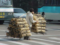 Wuhan:
                        Bambustransport ohne Rad
