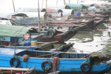 Shantou / Swatow:
                        Fischkutter, Hafen