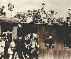 Shanghai 1937: Flüchtlinge im Zug nach Nanking
              nach dem Fall von Shanghai
