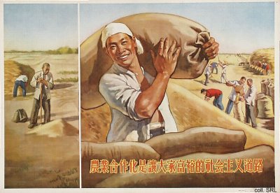 Plakat zur Kooperativierung 1956:
                            Kooperativen sind Grundlage zum Erfolg