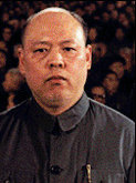 Yao Wenyuan, Portrait
